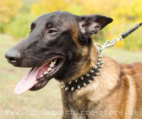 Leder Hundehalsband mit Schmuck