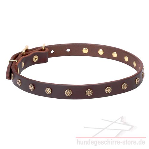 Leder Halsband für Hunde