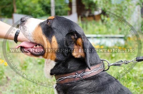 luxus hundehalsbänder fuer sennenhund