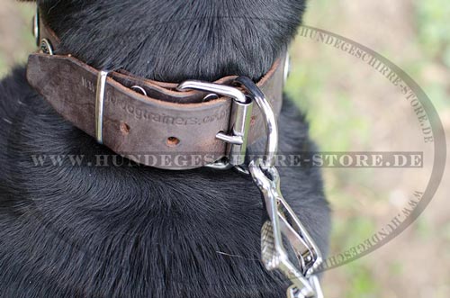 Conchos Leder Halsband Sennenhund