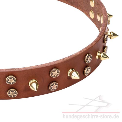 Leder Halsband, ungewöhnlich