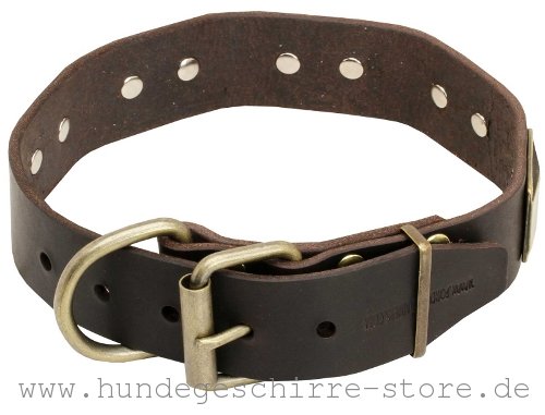 Leder Hundehalsband, abriebfest