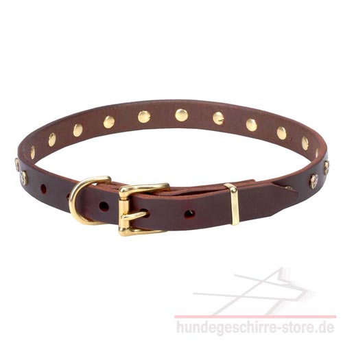 Leder Halsband, ungewöhnlich elegant