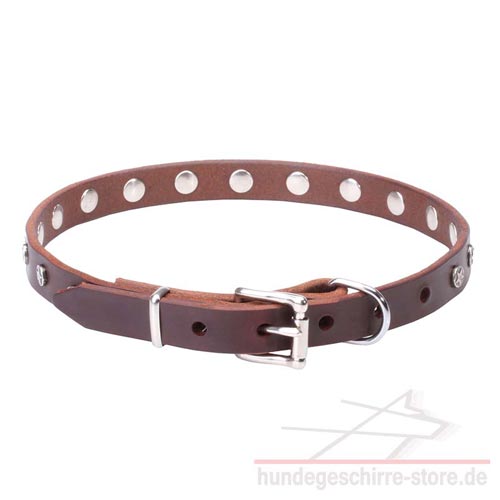 abriebfestes Leder Halsband