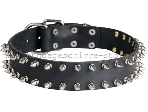 Leder Halsband, modisch