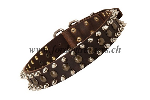 Best leather collar for Bordeauxdogge
