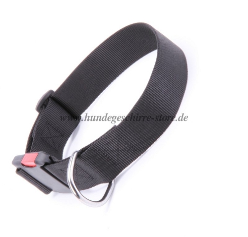 nylon collar dog sport buy Austria