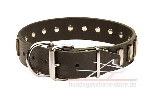 Leder Hundehalsband, bequem