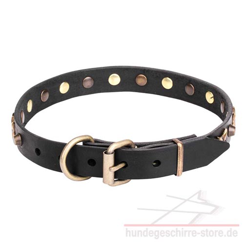 Leder Halsband, abriebfest