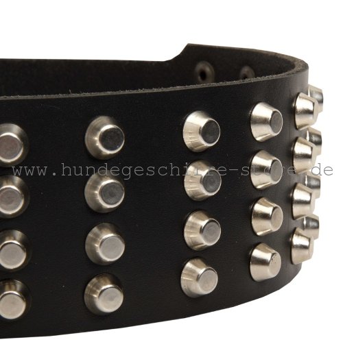 Leder Halsband, stark