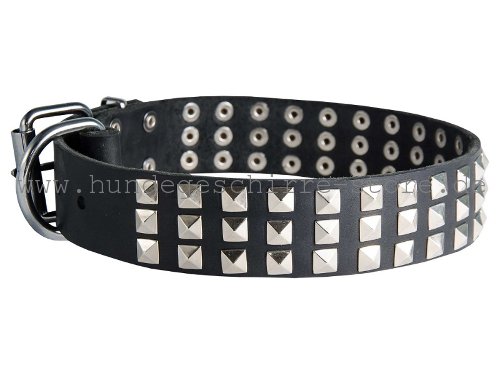 Leder Halsband, sicher