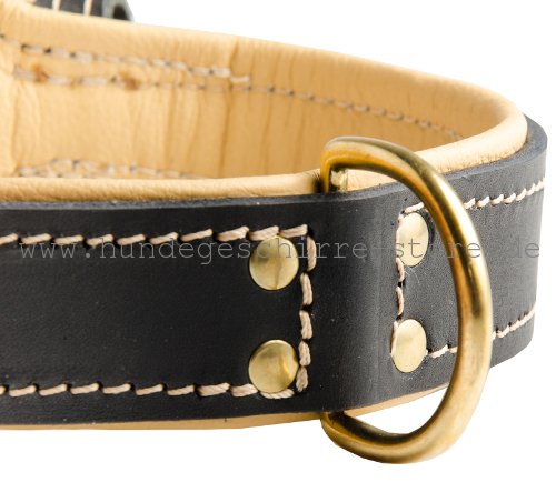 Leder Halsband, dauerhaft