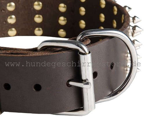 Leder Halsband, stark