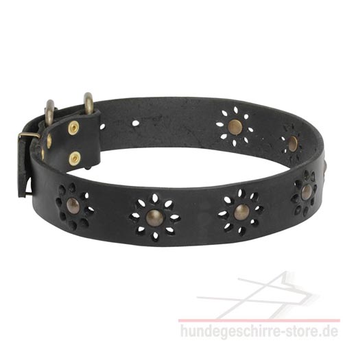 hundehalsband leder neuer trend