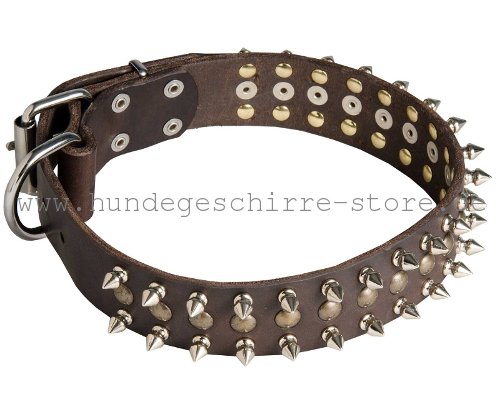 Leder Halsband, stark