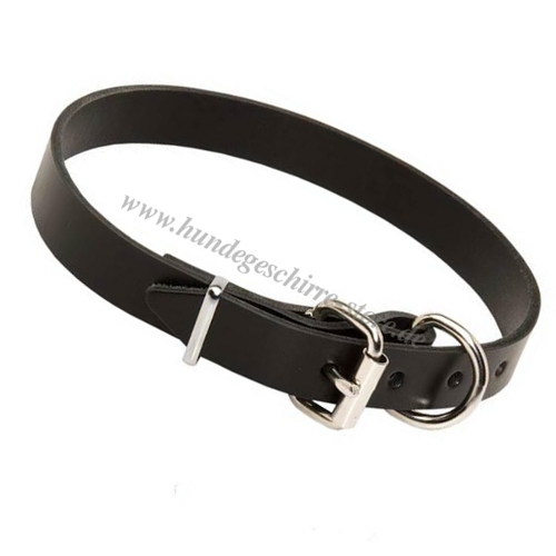 Klassisches Leder Halsband fuer Belgischen Malinois