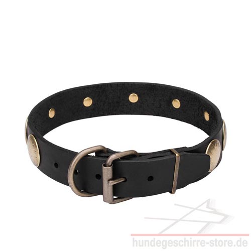 dog collar brass circle sun embossed pet shop luxury