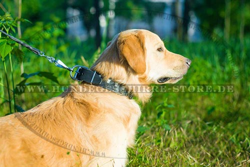 Leder Hundehalsband, robust und bequem