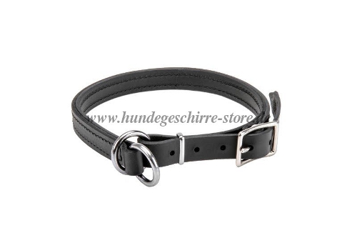 hundehalsband leder Hundeerziehung