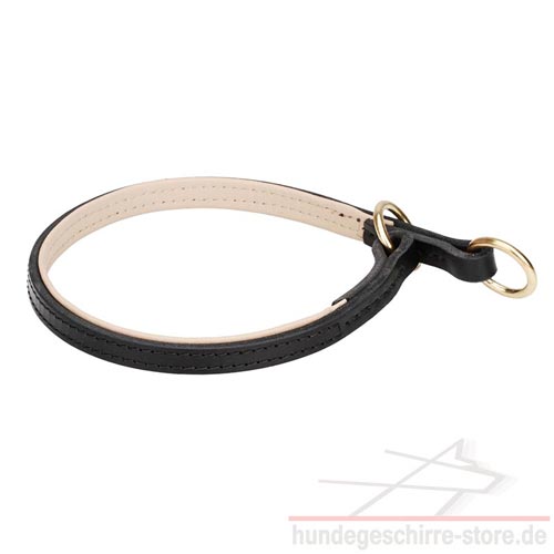 nappa gepolstert Hundehalsband Laika