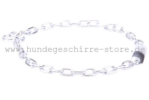 sicheres Halsband aus Stahl