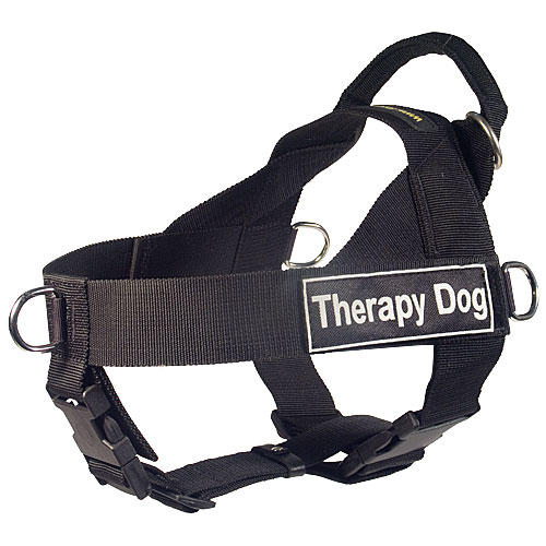 dog harness nylon with patches
