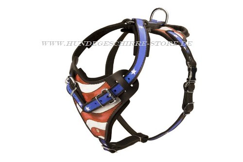 Dog harness for pitbull training