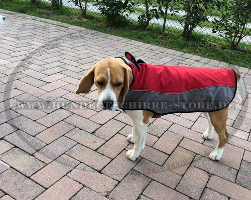 Beagle Hundemantel aus Nylon
