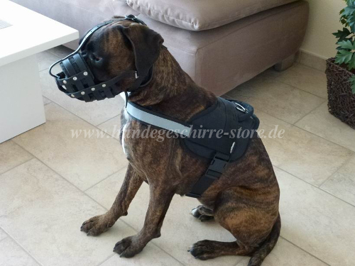 Boxer dog harness reflective