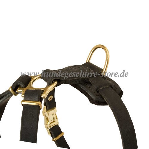 padded dog harness for puppies