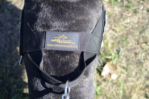 Bullterrier Nylon Geschirr mit
Logos