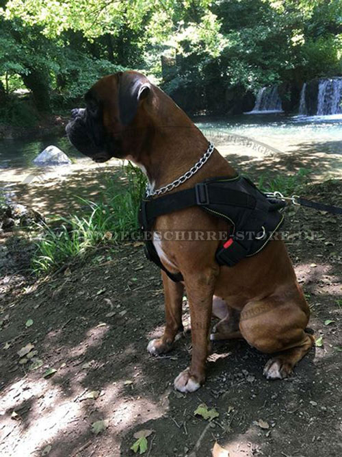 Nylon Hundegeschirr für Deutschen Boxer