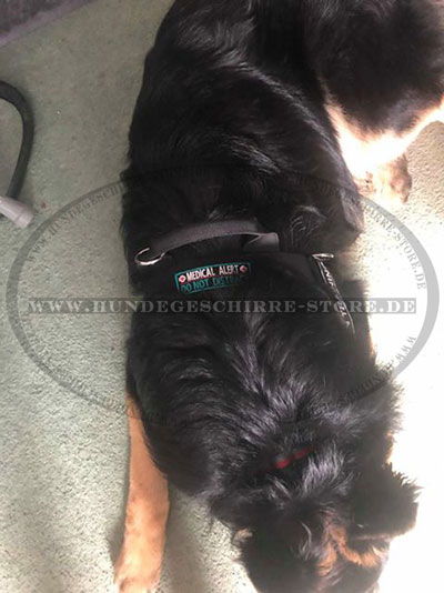 Brustgeschirr mit Logos für Deutschen Schäferhund kaufen