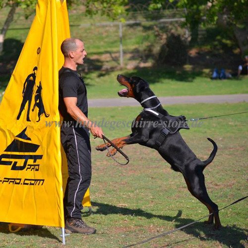 Doberman Dog Harness for IGP