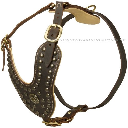 padded leather dog harness