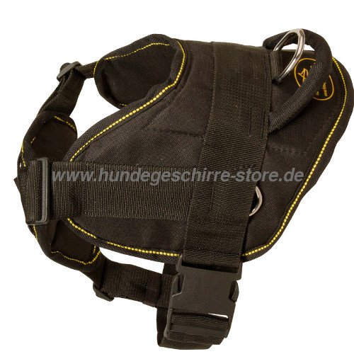 harness for dog sport with padding