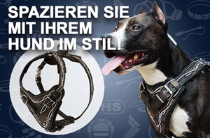 Ledergeschirr K9 kaufen