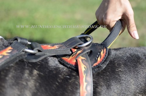 BullterrierHundegeschirr Handarbeit