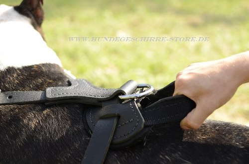 Hundegeschirr für Hundesport und
Hundeausbildung