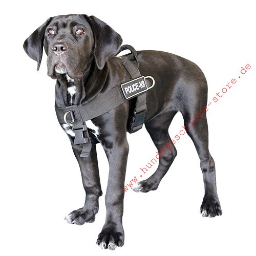 Cane Corso Hundegeschirr K9