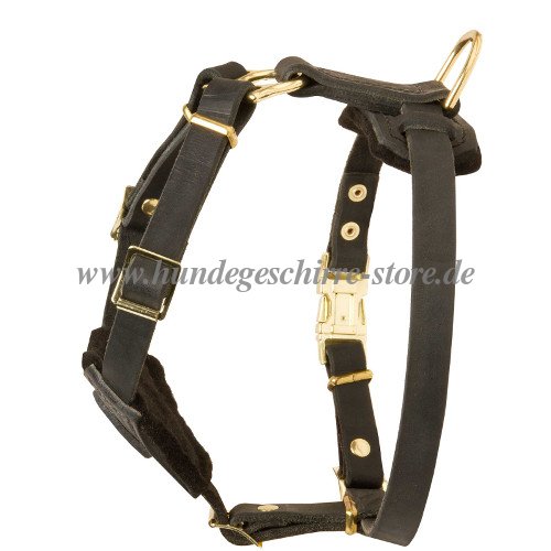 leather dog harness for little dog breeds