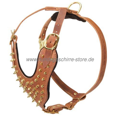 dog harness leather tan with brass spikes