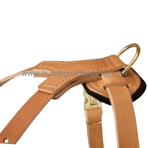 Dog harness oiled leather amstaff bremen