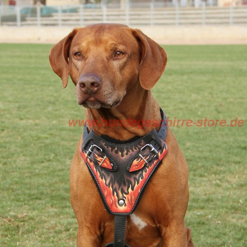 Ridgeback Brustgeschirr mit Polsterung