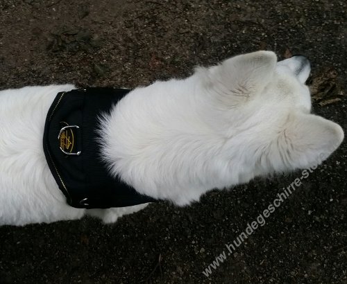 Dog Harness of Nylon for White Shepherd