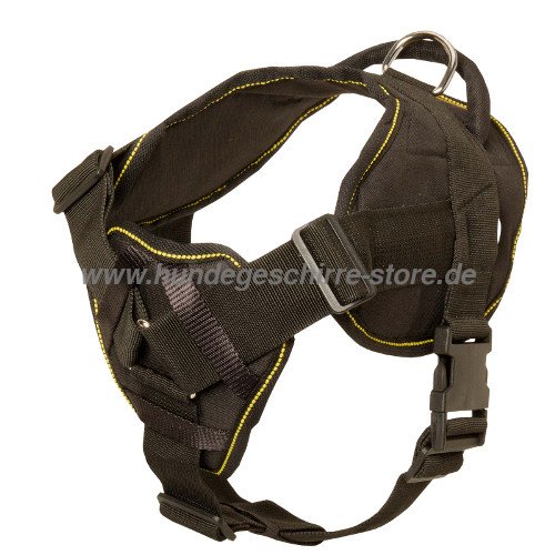 dog harness water-resistant for every sport