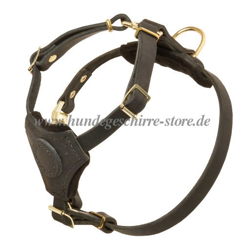 small dog harness with padding