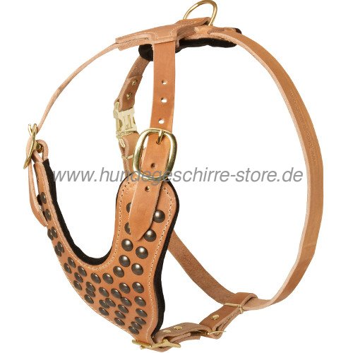 dog harness with studs design