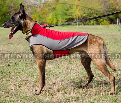 Malinois hundemantel gepolstert winter