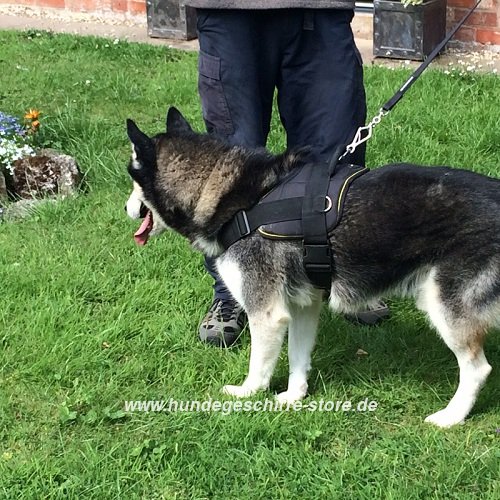 Husky Hunde Geschirr mit Klickverschluss